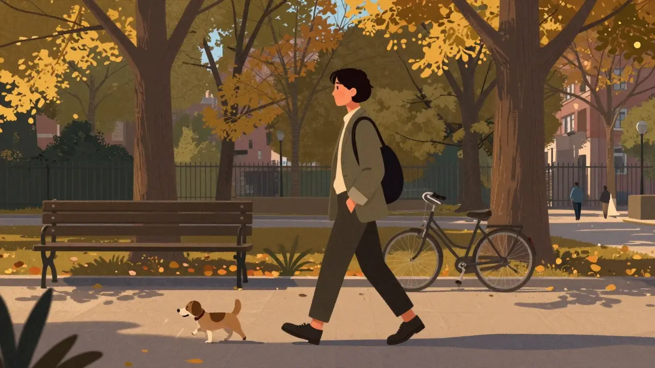 Osoba prochází v parku při zlaté hodině s psy, klidně a bez stresu.